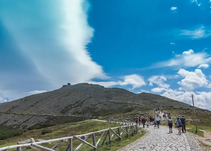 Hotelove Z Sauna 公寓