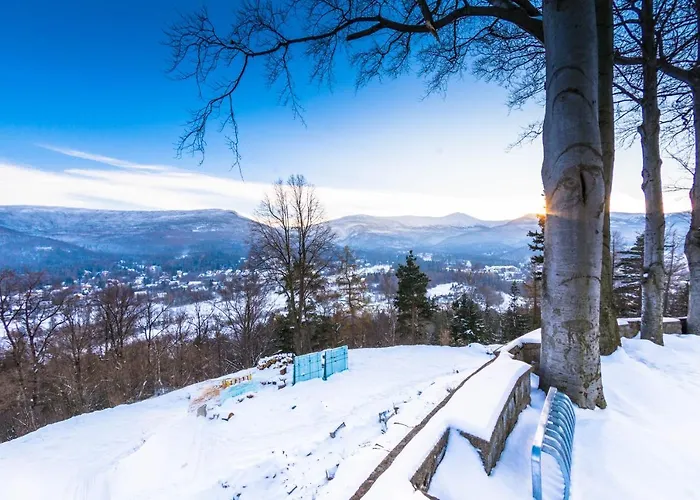 Apartamenty Hotelove Z Sauna *